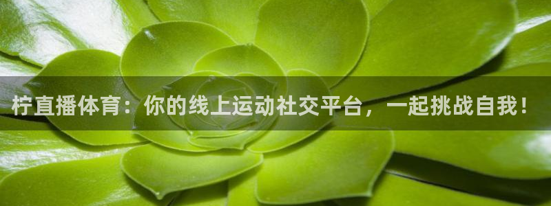 劲爆体育nba直播吧：柠直播体育：你的线上运动社交平台，一起挑战自我！
