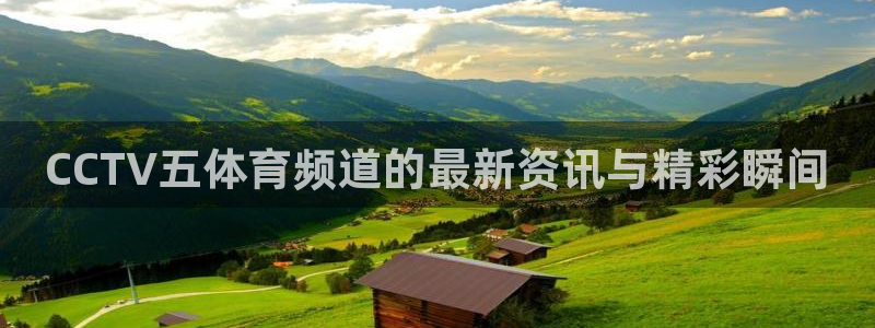 劲爆体育节目直播：CCTV五体育频道的最新资讯与精彩瞬间