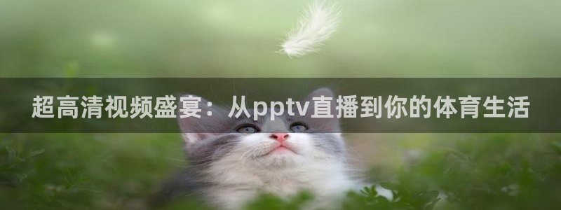 劲爆体育频道在线直播：超高清视频盛宴：从pptv直播到你的体育生活