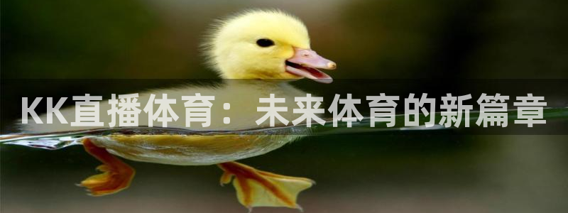 劲爆体育直播：KK直播体育：未来体育的新篇章