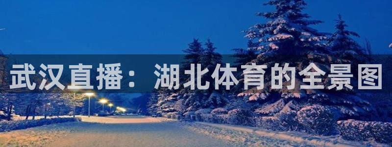 劲爆体育 nba：武汉直播：湖北体育的全景图