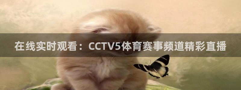 劲爆体育网络直播：在线实时观看：CCTV5体育赛事频道精彩直播