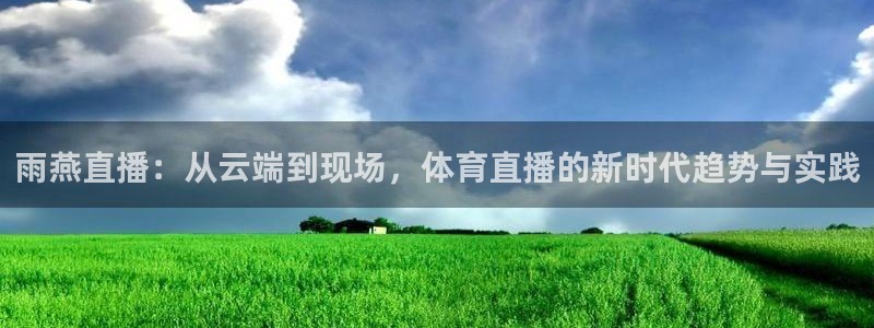 劲爆体育节目直播：雨燕直播：从云端到现场，体育直播的新时代趋势与实践