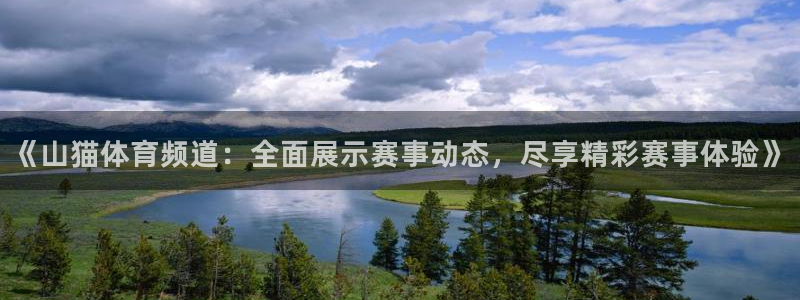 劲爆体育直播在线观看：《山猫体育频道：全面展示赛事动态，尽享精彩赛事体验》
