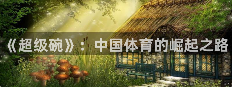 劲爆体育无插件直播：《超级碗》：中国体育的崛起之路