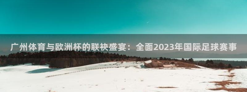 上海劲爆体育频道直播：广州体育与欧洲杯的联袂盛宴：全面2023年国际足球赛事
