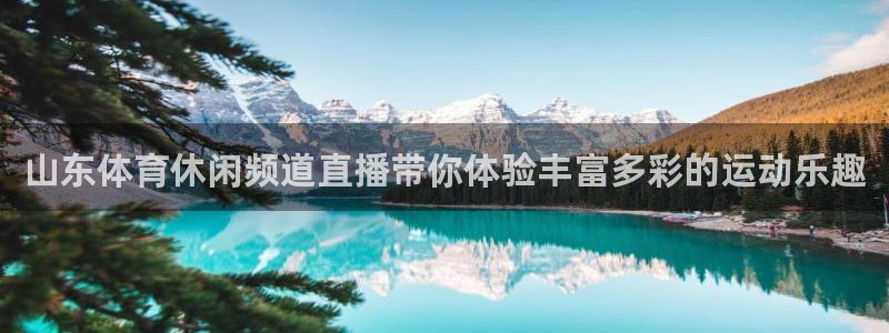 劲爆体育免费直播nba边看边玩1.新通道.club：山东体育休闲频道直播带你体验丰富多彩的运动乐趣